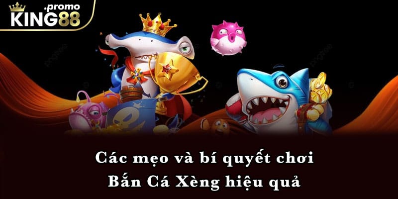 Các mẹo và bí quyết chơi Bắn Cá Xèng hiệu quả