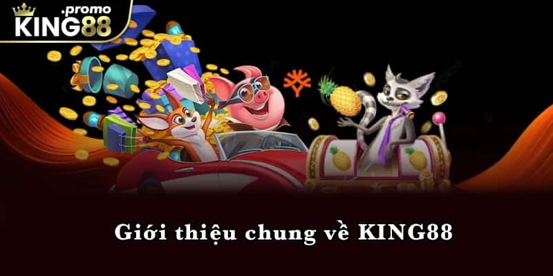 Giới thiệu chung về KING88