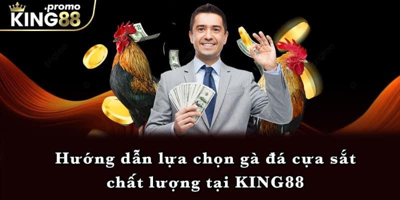 Hướng dẫn lựa chọn gà đá cựa sắt chất lượng tại KING88