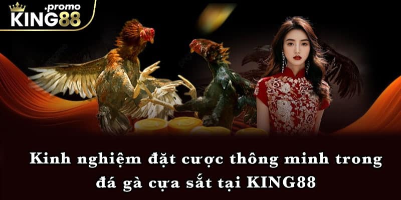 Kinh nghiệm đặt cược thông minh trong đá gà cựa sắt tại KING88